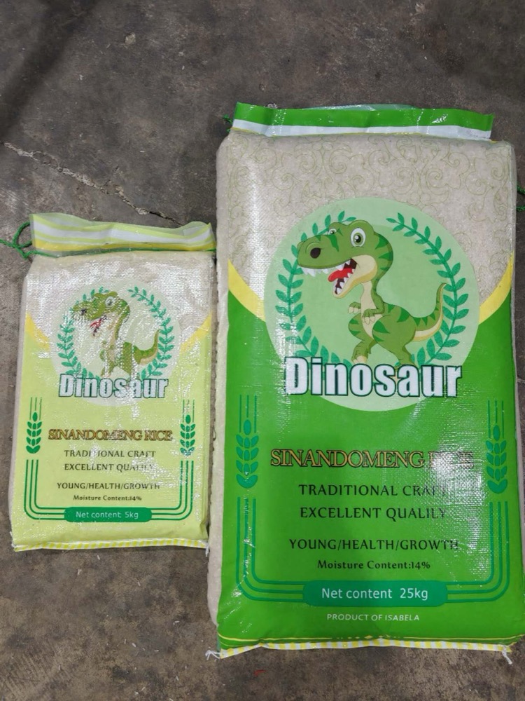 DINOSAUR rice bag